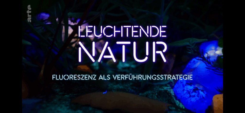 ARTE Leuchtende Natur